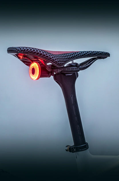 ROCKBROS Smart Bike Tail Light Bicycle Rear Lights IPX6 Waterproof Bike Lights for Night Riding with Type C Rechargeable