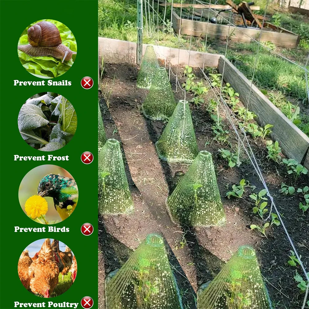 5Pcs Growth Box Planting Tent Reusable Square Use Plant Clock Cover To Protect Plants From Bird Frost and Snail Damage Green