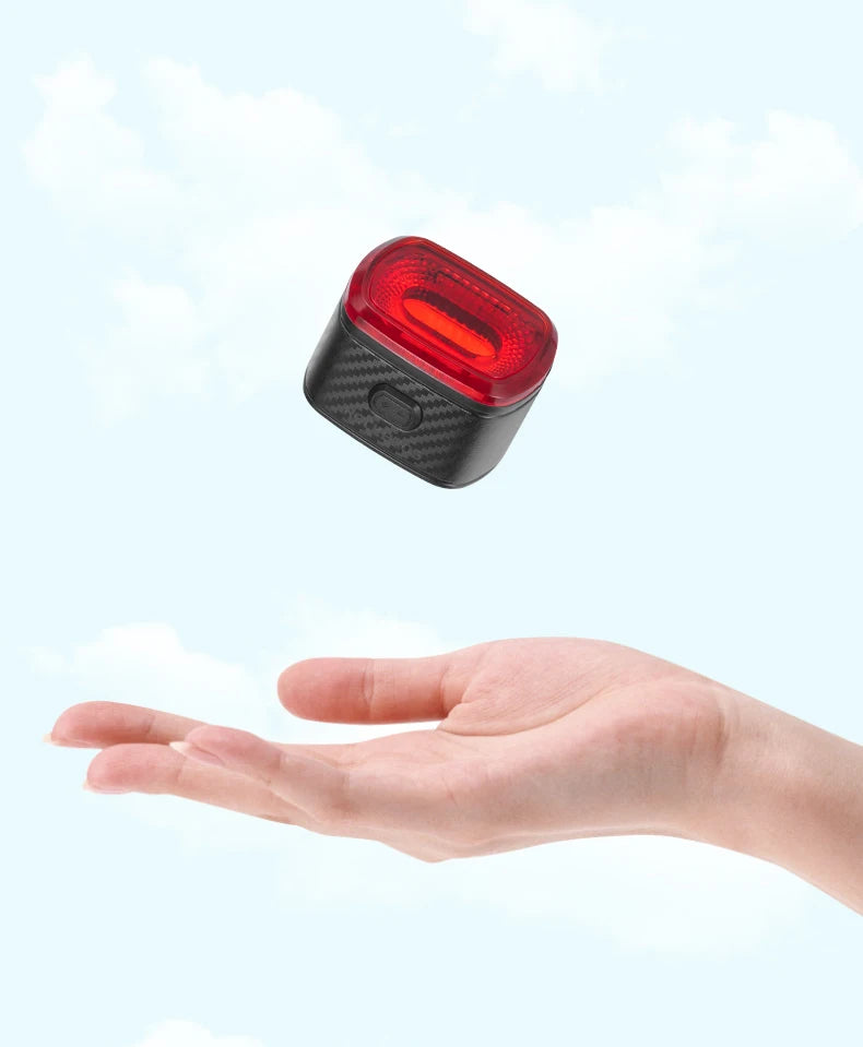 ROCKBROS Smart Bicycle Tail Rear Light Auto Stop Brake IPX6 Waterproof Type-C Charge Cycling Tail Taillight Bike LED Lights