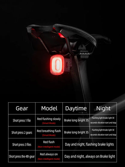 ROCKBROS Smart Bicycle Tail Rear Light Auto Stop Brake IPX6 Waterproof Type-C Charge Cycling Tail Taillight Bike LED Lights