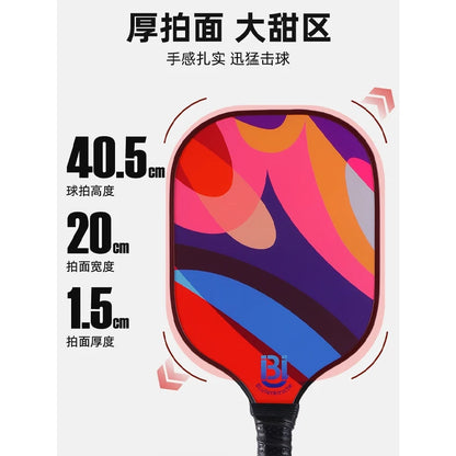 Pickleball Paddle Set with Pickleballs Professional Level Pickleball Racket For Competition Outdoor Recreation School Teaching