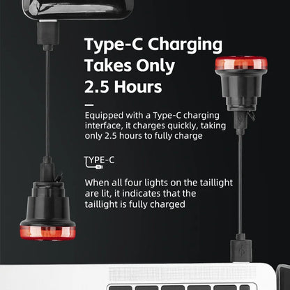 ROCKBROS Smart Bike Tail Light Bicycle Rear Lights IPX6 Waterproof Bike Lights for Night Riding with Type C Rechargeable