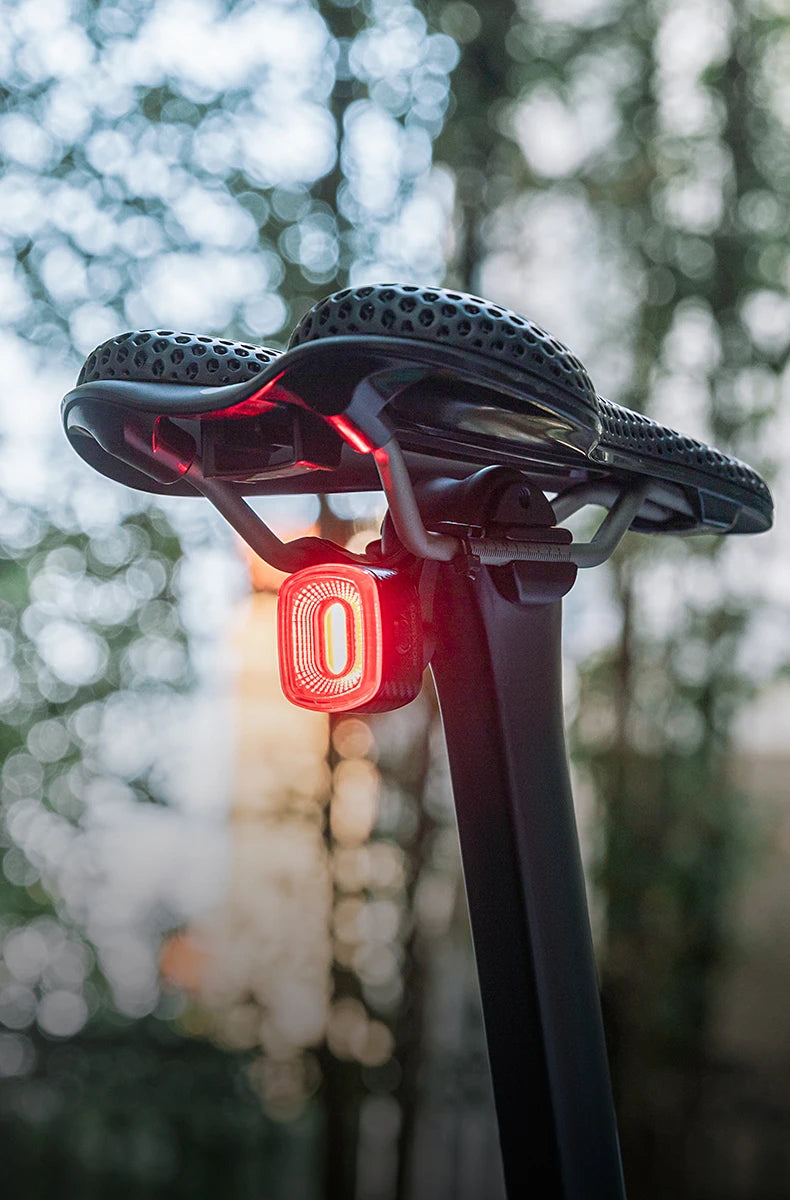 ROCKBROS Smart Bicycle Tail Rear Light Auto Stop Brake IPX6 Waterproof Type-C Charge Cycling Tail Taillight Bike LED Lights