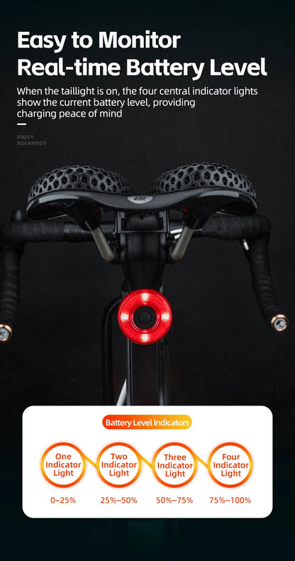 ROCKBROS Smart Bike Tail Light Bicycle Rear Lights IPX6 Waterproof Bike Lights for Night Riding with Type C Rechargeable