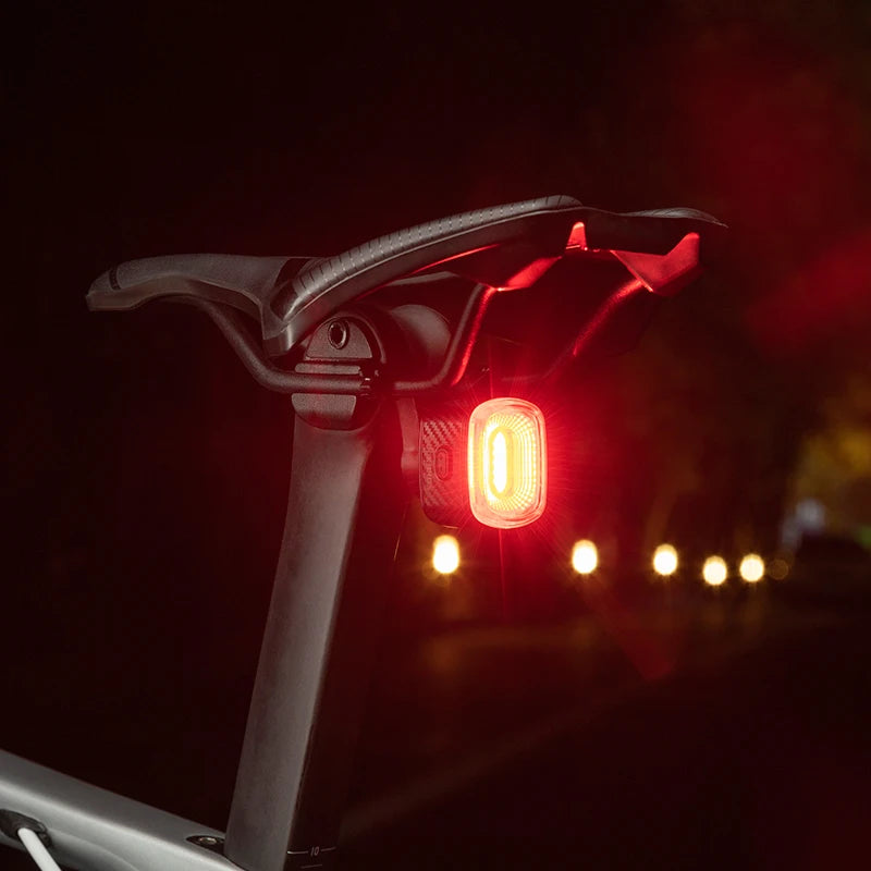 ROCKBROS Smart Bicycle Tail Rear Light Auto Stop Brake IPX6 Waterproof Type-C Charge Cycling Tail Taillight Bike LED Lights