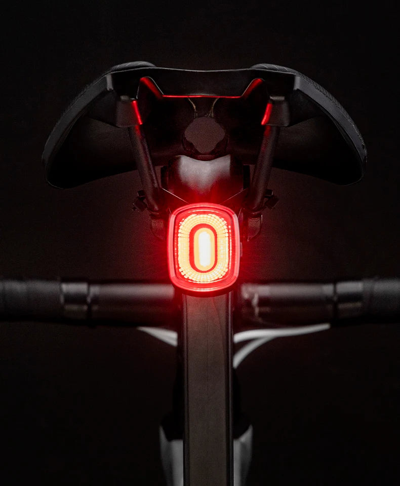 ROCKBROS Smart Bicycle Tail Rear Light Auto Stop Brake IPX6 Waterproof Type-C Charge Cycling Tail Taillight Bike LED Lights