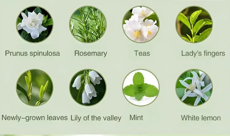 Automatic Diffuser Aromatherapy Car Perfume with Display Essential Oil Humidifier Bathroom Deodorization Air Freshener Jasmine